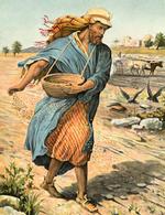 Image for Sixteenth Sunday in Ordinary Time